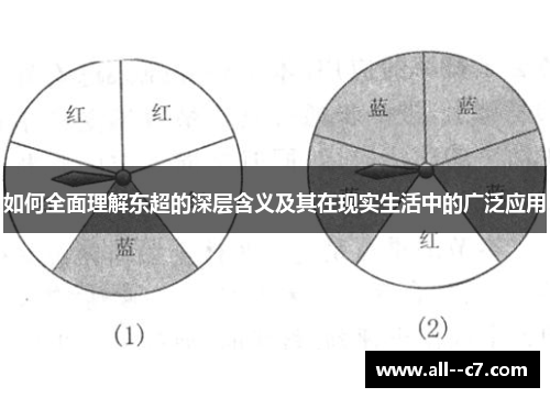 如何全面理解东超的深层含义及其在现实生活中的广泛应用