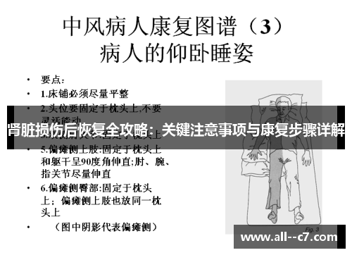 肾脏损伤后恢复全攻略：关键注意事项与康复步骤详解