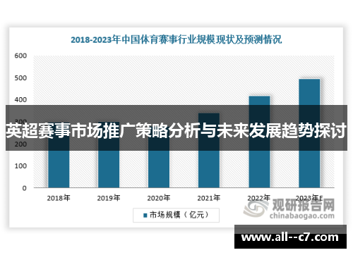 英超赛事市场推广策略分析与未来发展趋势探讨