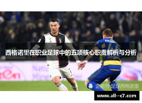西格诺里在职业足球中的五项核心职责解析与分析