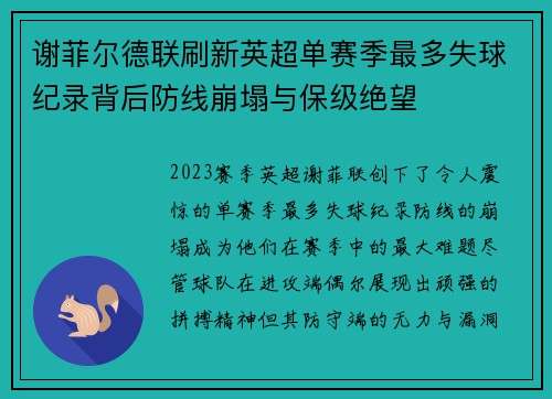 谢菲尔德联刷新英超单赛季最多失球纪录背后防线崩塌与保级绝望
